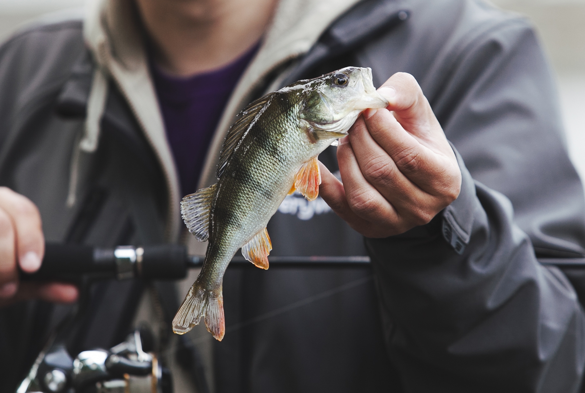 Why TPE is the perfect material for your Fish Bait